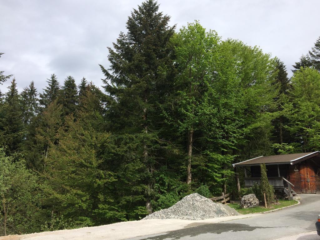 Ferienwohnung Wieser Fieberbrunn Luaran gambar